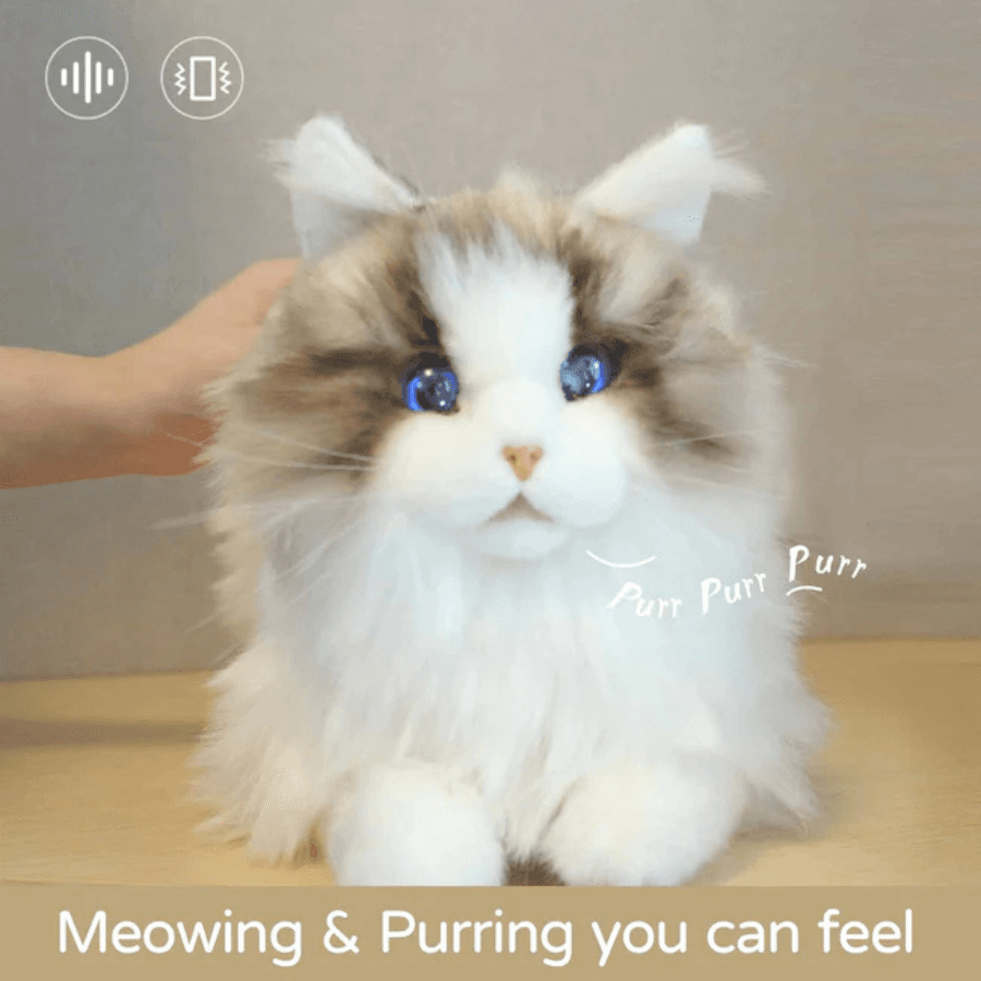 Metacat Companion Robot Buy from Everse