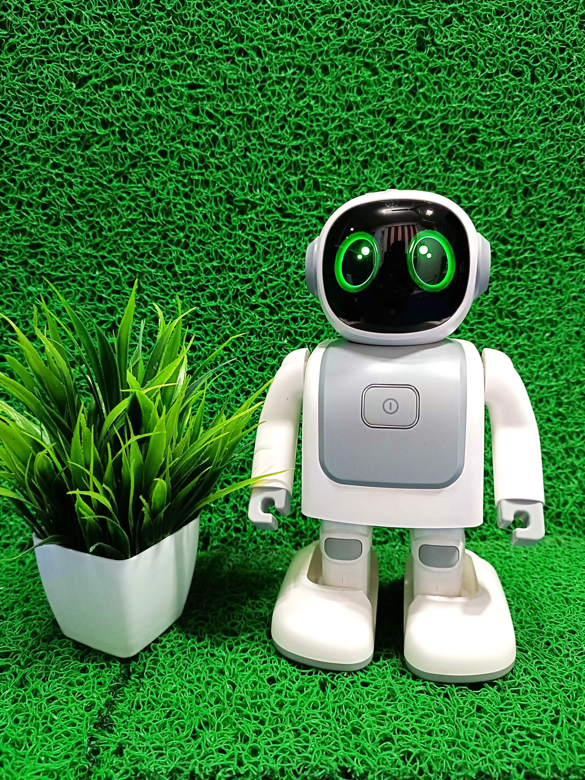 Robert The Dancing Robot