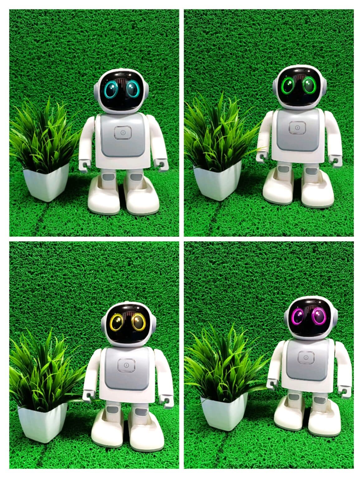 Robert The Dancing Robot