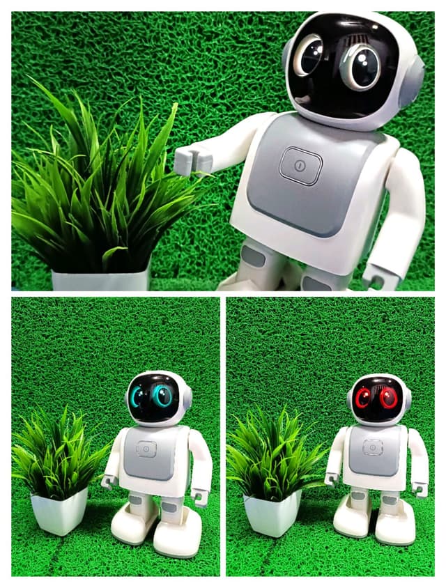 Robert The Dancing Robot