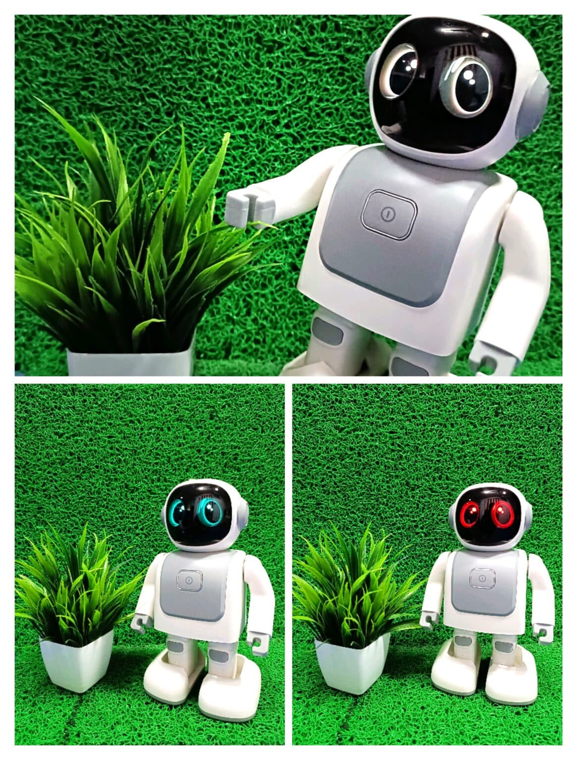 Robert The Dancing Robot