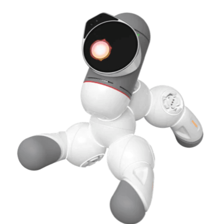 ClicBot AI Companion robot Buy From Evese