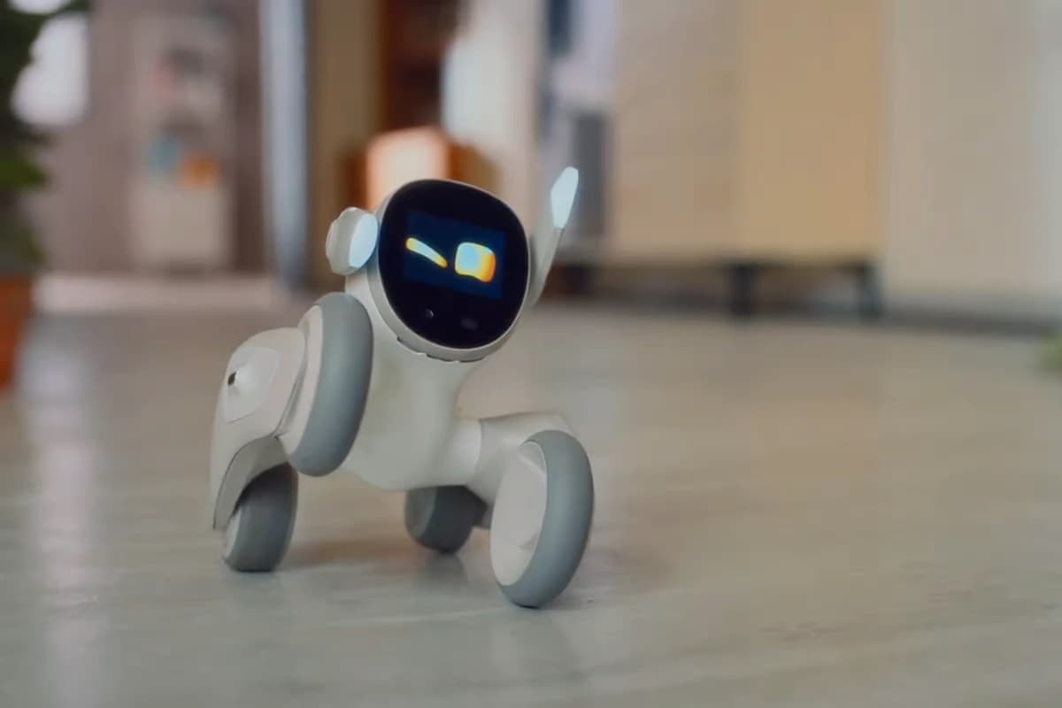 Loona premium robot