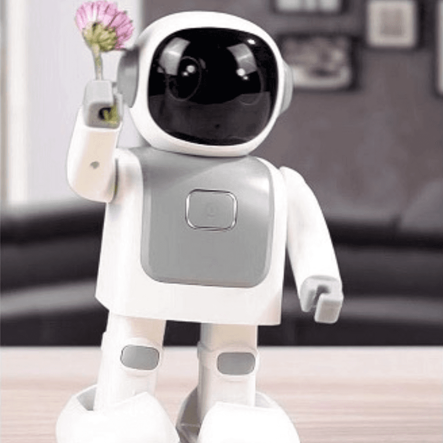 DanceBot Robert for Robotics Learning Buy From Everse