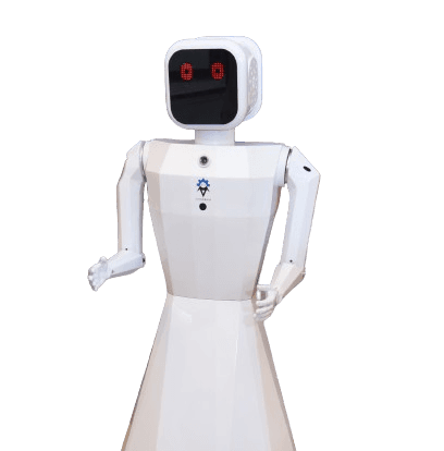 AI INTELLIGENT HUMANOID – NILA ROBOT