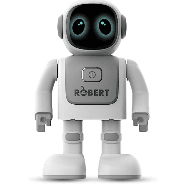 DanceBot Robert for Robotics Learning