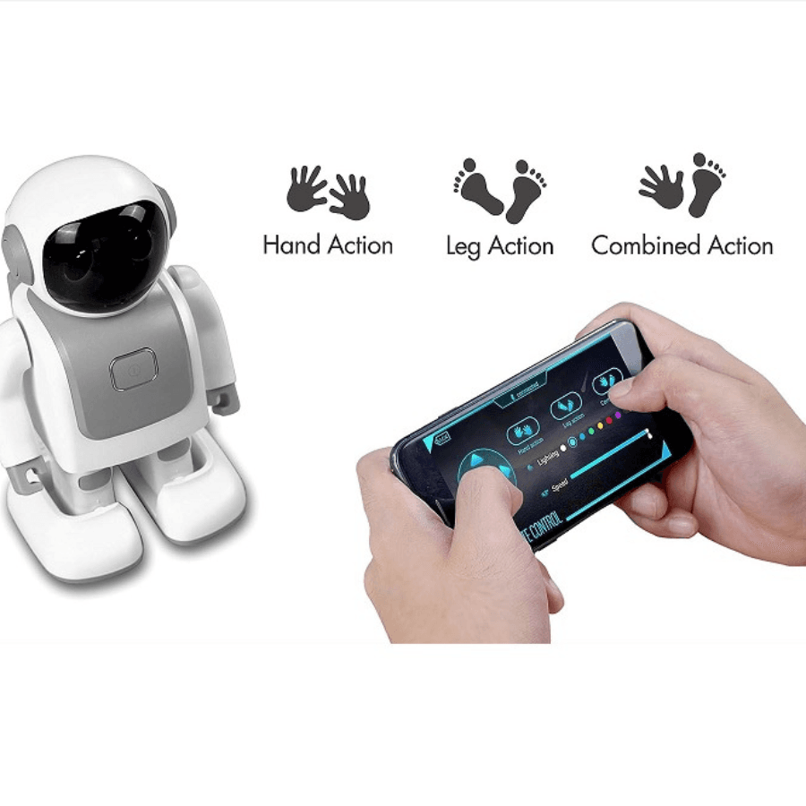 DanceBot Robert for Robotics Learning Buy From Everse