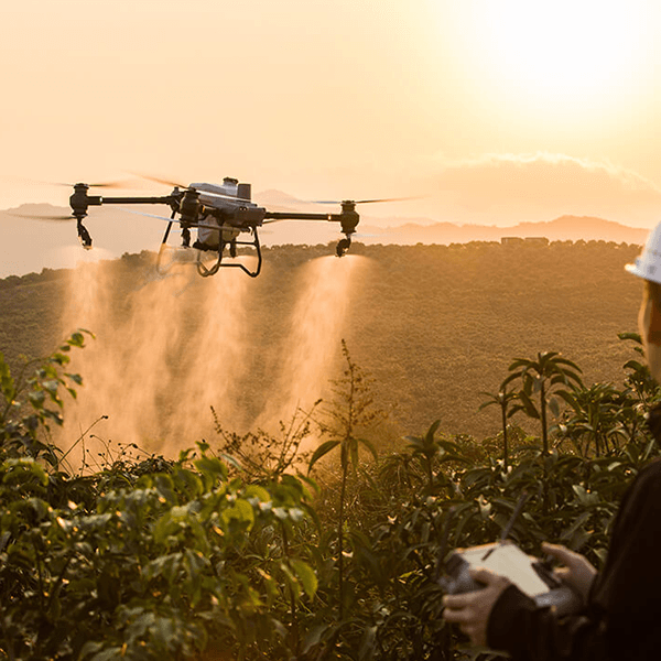 DJI Drones in Agriculture - Revolutionizing Farming Practices in India