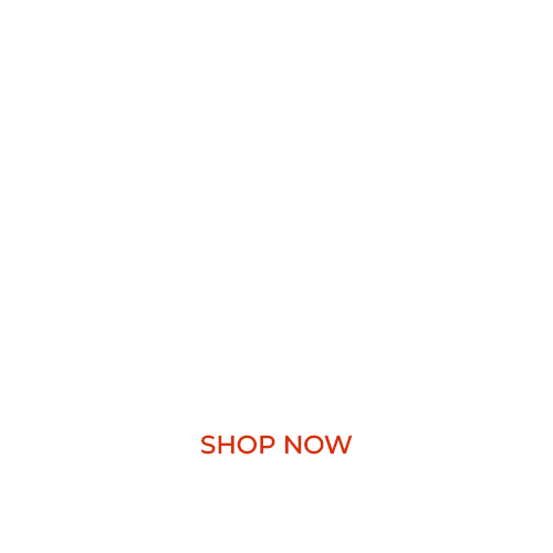 Skydio Drone