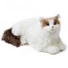 Metacat Companion Robot-001