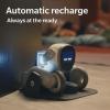 Loona premium robot-004