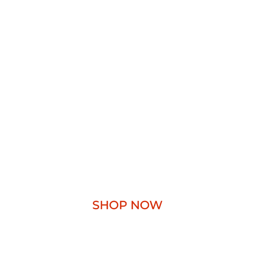 Flyability