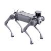 Unitree B2- Basic Version with 3D LIDAR Robot Dog (Industry grade)-003
