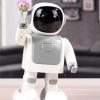 DanceBot Robert for Robotics Learning-004