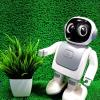 Robert The Dancing Robot-002