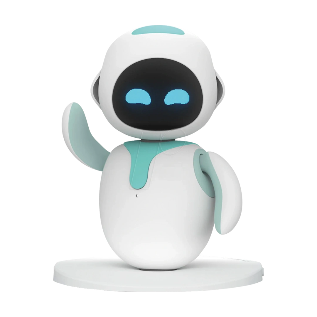 Companion Robots