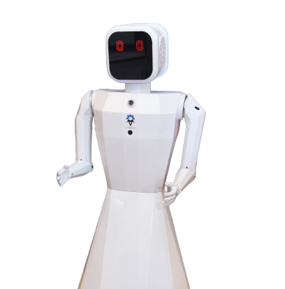 AI INTELLIGENT HUMANOID – NILA ROBOT Buy from Everse