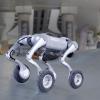 Quadrapet Robots-004