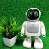 Robert The Dancing Robot-001