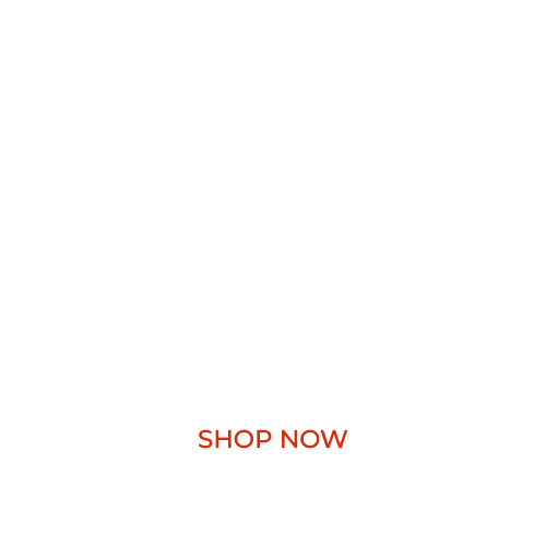 Parrot