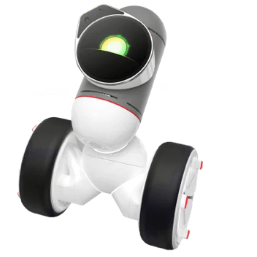 ClicBot AI Companion robot Buy From Everse