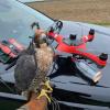 SwellPro Waterproof Falconry Drone-003