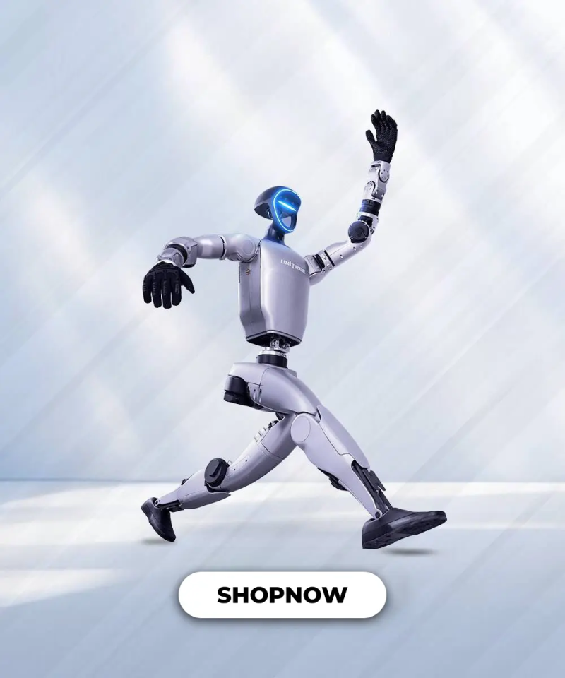 Unitree Humanoid