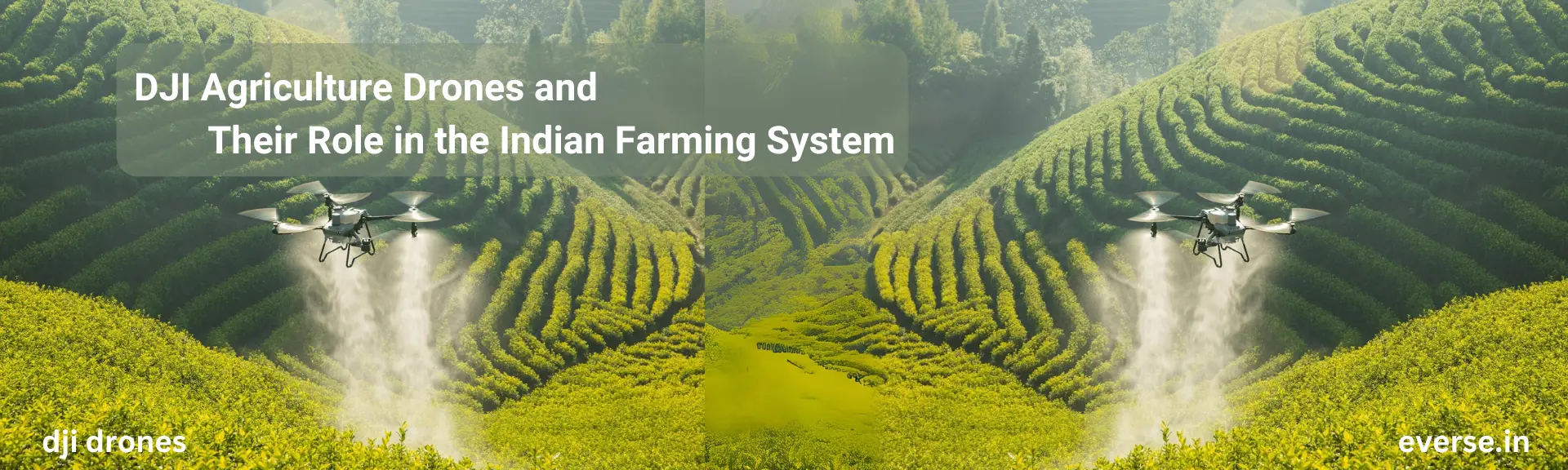 DJI Agriculture Drones and Their Role in the Indian Farming System