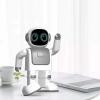 DanceBot Robert for Robotics Learning-003