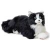 Metacat Companion Robot-004