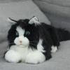 Metacat Companion Robot-05