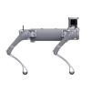 Unitree B2- Robot Dog-005