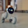 Loona premium robot-001