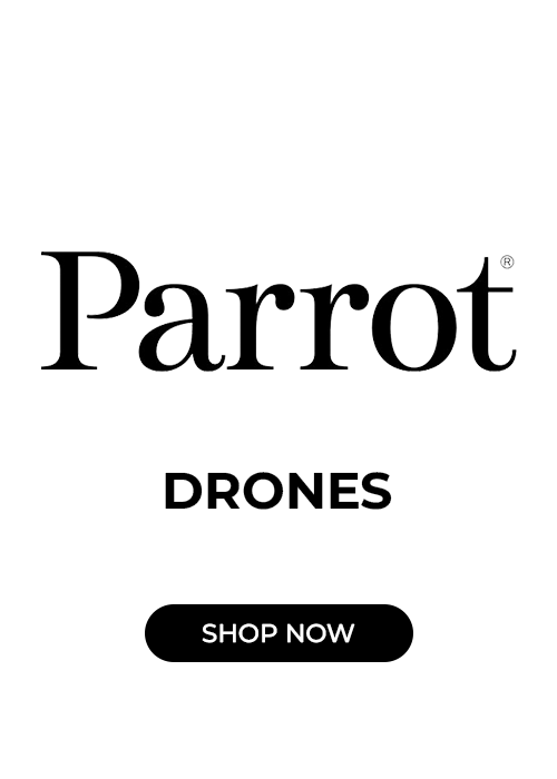 Parrot