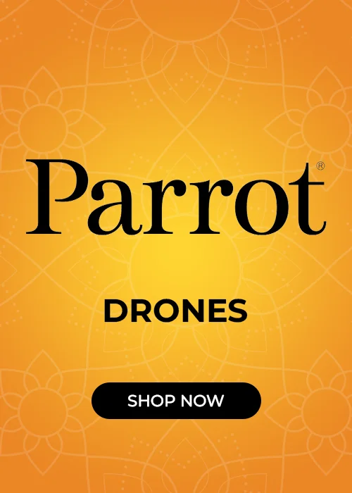 Parrot