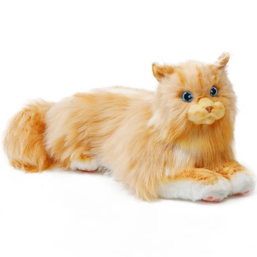 Metacat Companion Robot Buy from Everse
