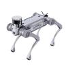 Unitree B2- Robot Dog-002
